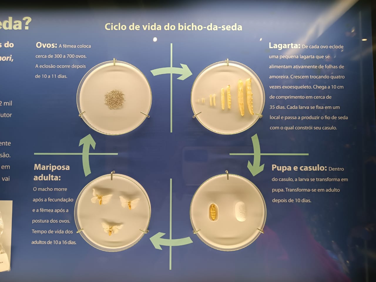 Imagem da notícia Viagem Cultural dos Cursos de Pedagogia e Psicologia