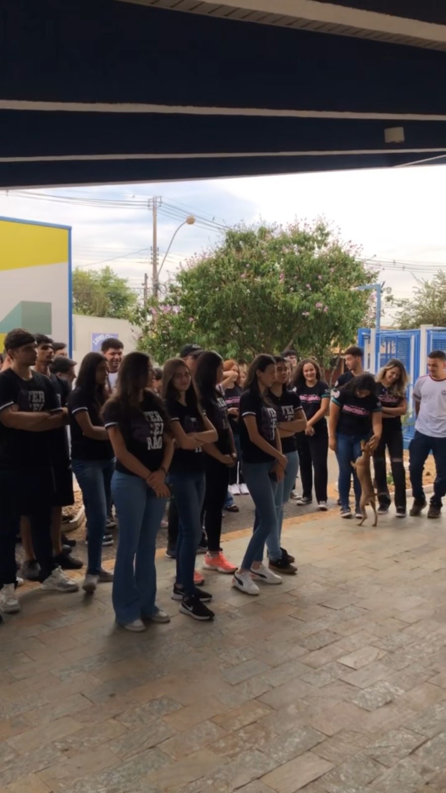 Imagem da notícia FUNEPE Realiza Feira De Profissões Presencial e Celebra Sucesso do Evento