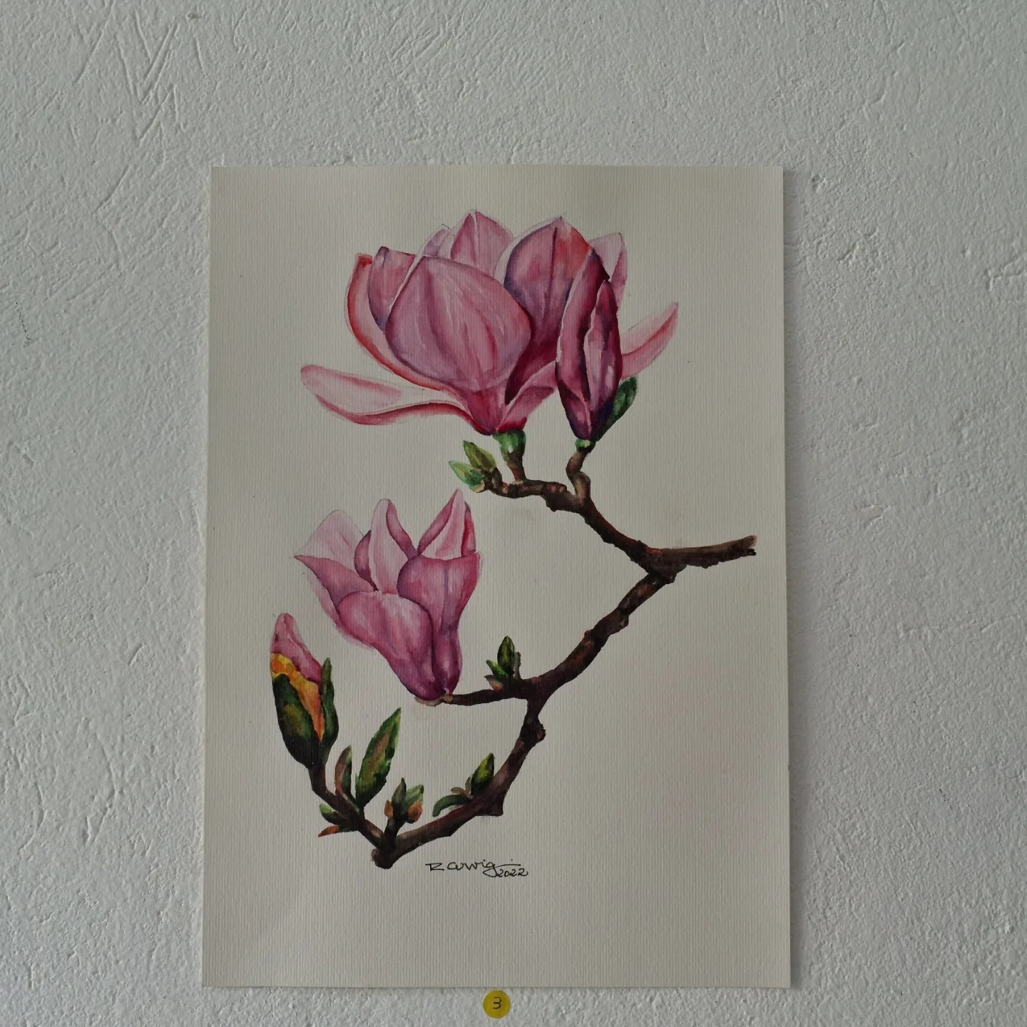 Imagem principal da notícia Biblioteca Promove Exposição de Arte em Aquarela