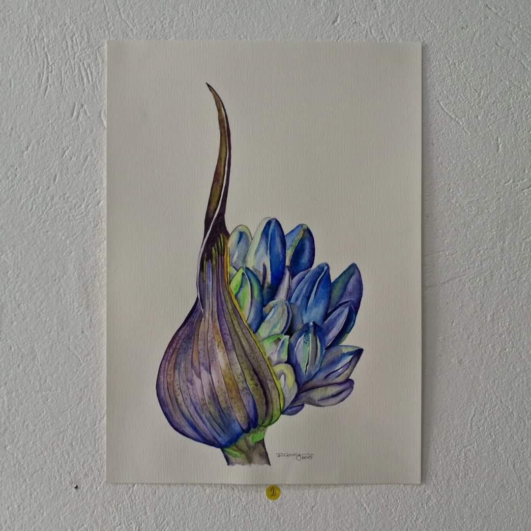 Imagem da notícia Biblioteca Promove Exposição de Arte em Aquarela