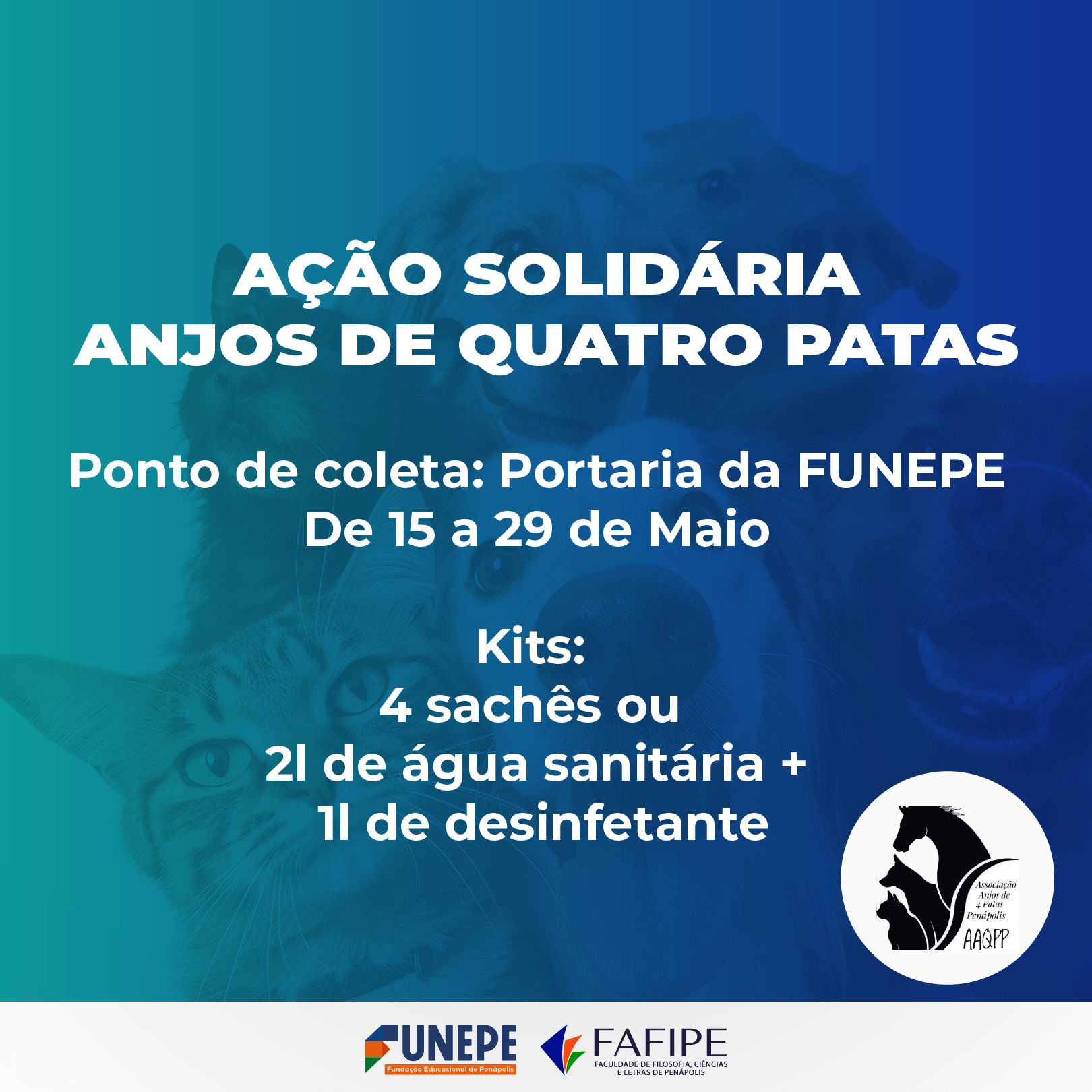 Imagem principal da notícia Ação Solidária - Anjos de Quatro Patas