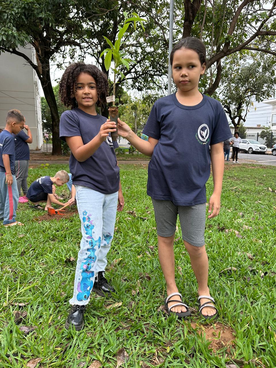 Imagem da notícia Mudas de Árvores Frutíferas doadas pelo curso de Enfermagem são plantadas em escola estadual E.E PEI Luiz Chrisóstomo de Oliveira