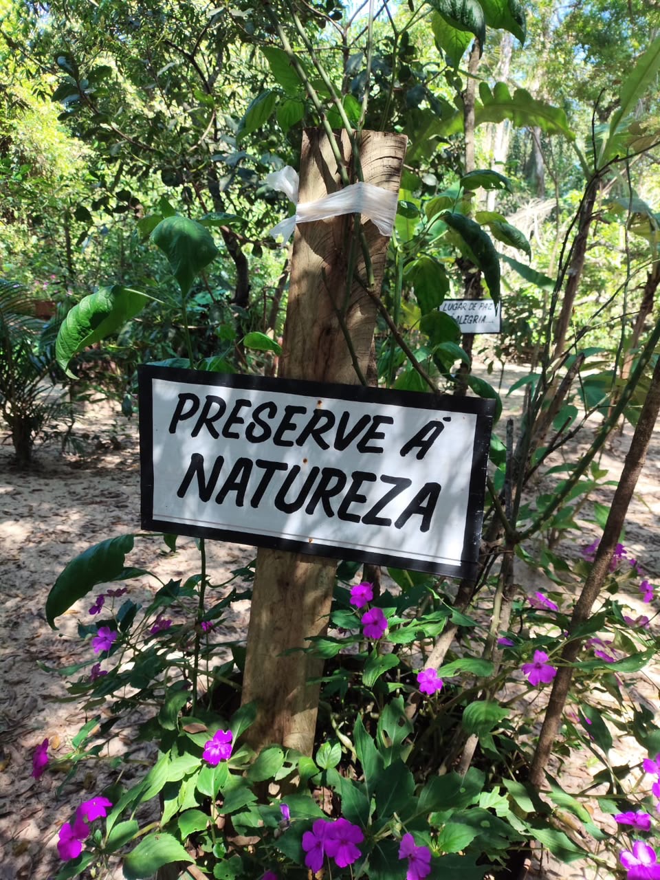 Imagem da notícia Pedagogia: Projeto Rio Limpo, Futuro Preservado